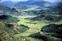 Korea 1953, terraced rice paddies